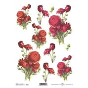 Ριζόχαρτο "red ranunculus" 21x29εκ.   (ITD-R420)